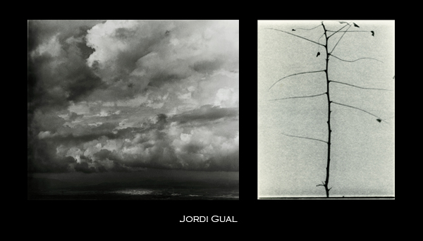 Jordi Gual