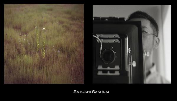 Satoshi Sakurai